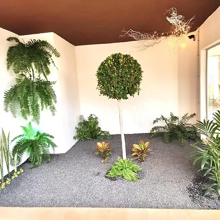 Ocean Garden By Deihu Experiences Апартаменты